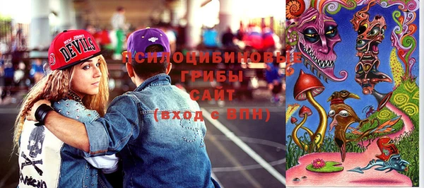 ГАЛЛЮЦИНОГЕННЫЕ ГРИБЫ Балабаново