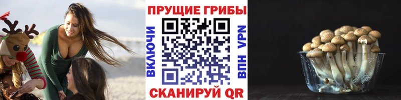 нарко площадка состав  Сланцы  Псилоцибиновые грибы GOLDEN TEACHER  даркнет сайт 